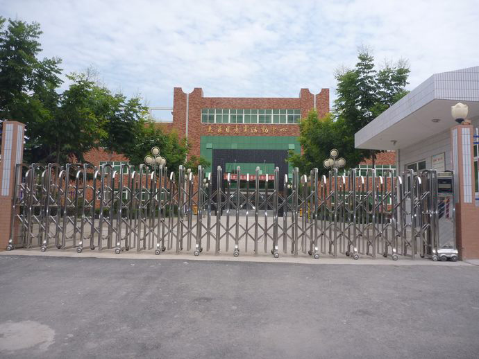 电动无轨伸缩门